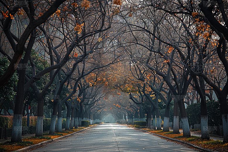 林荫小路山林高清摄影图