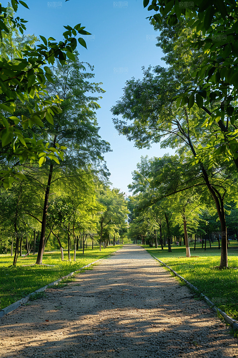 林荫小路绿色山林摄影图