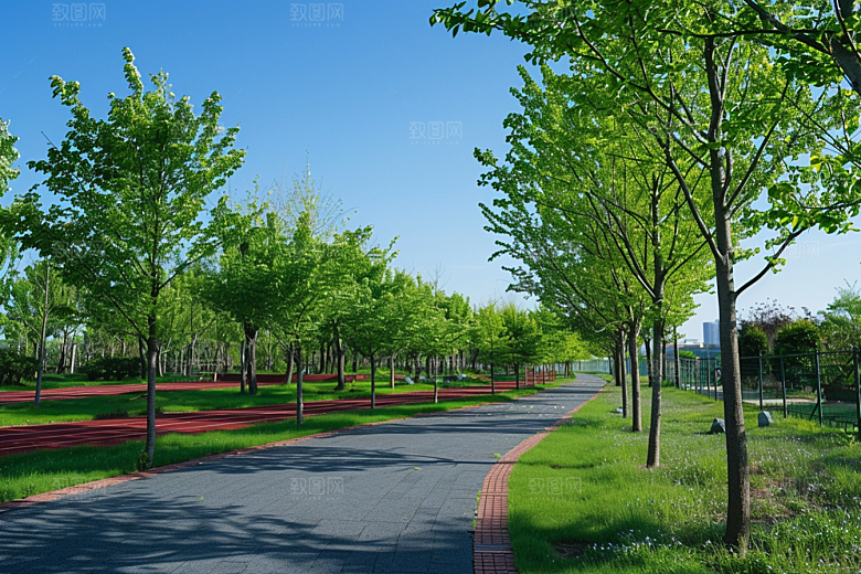 林荫小路户外高清摄影图