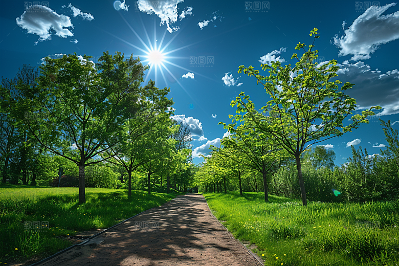 林荫小路自然绿色摄影图