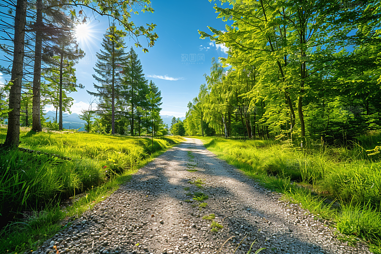 林荫小路自然旅游摄影图