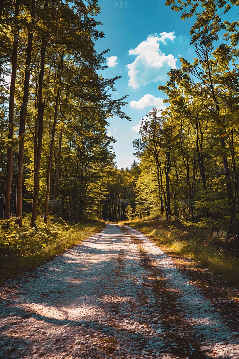 林荫小路山林旅游摄影图