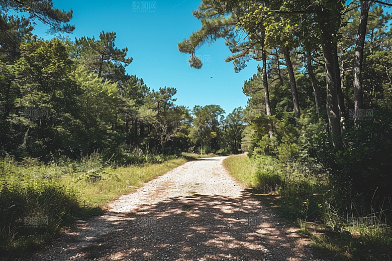 林荫小路露营徒步摄影图