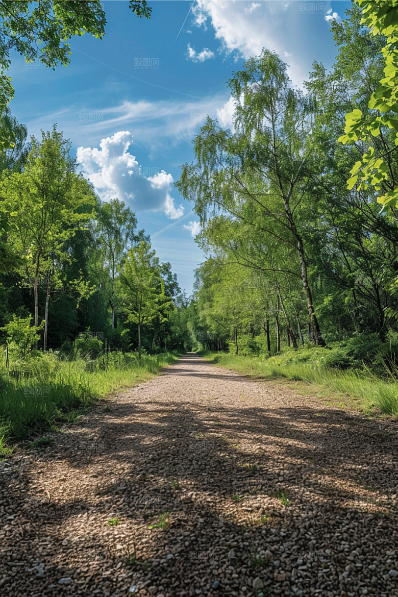 林荫小路旅游林间摄影图