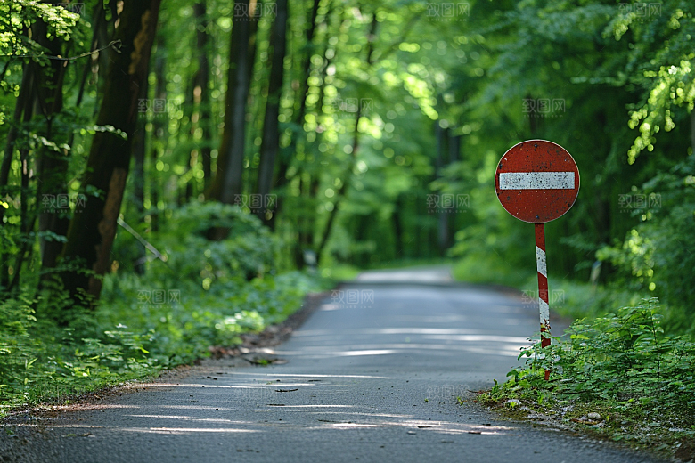 林荫小路树林户外摄影图