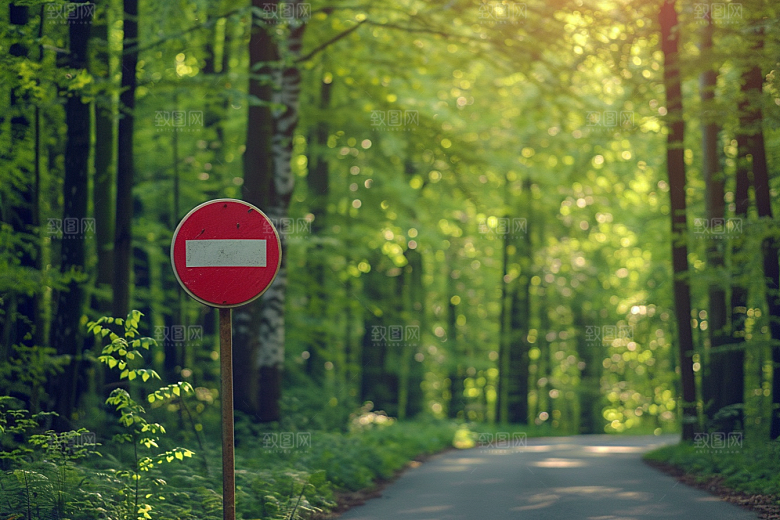 林荫小路林间户外摄影图