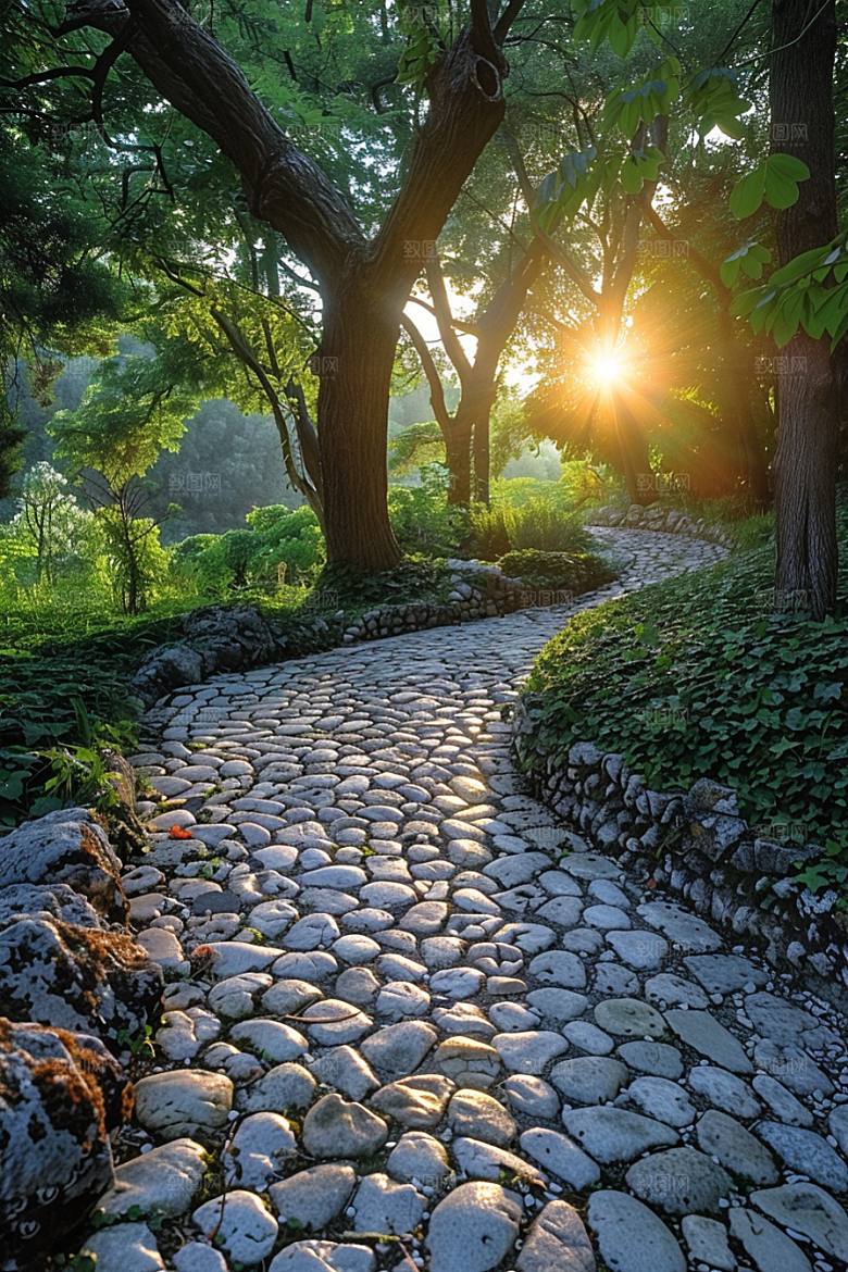林荫小路旅游露营摄影图