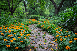 林荫小路旅行自然摄影图