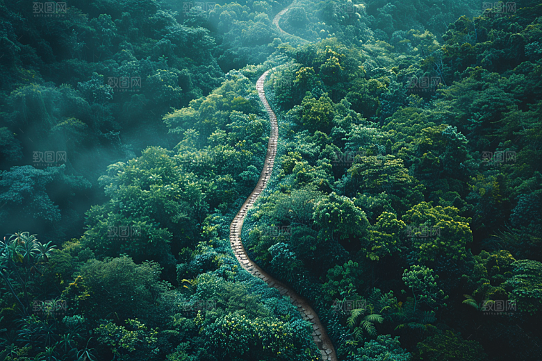 林荫小路自然空气清新摄影图