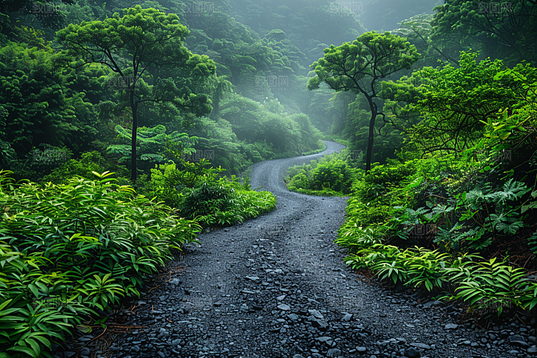 林荫小路露营山林摄影图