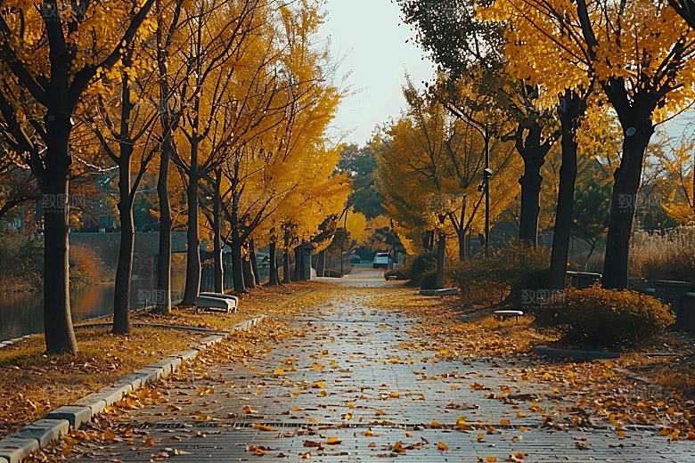林荫小路户外旅游摄影图