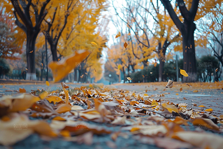 林荫小路露营林间摄影图