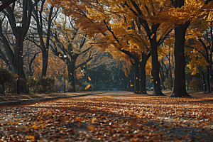 林荫小路山林环境优美摄影图