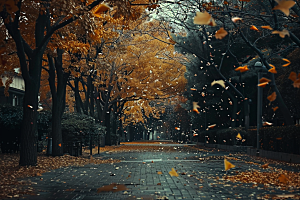 林荫小路旅行高清摄影图
