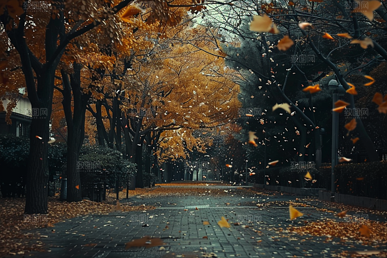 林荫小路旅行高清摄影图