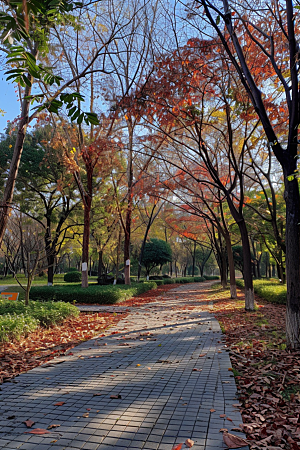 林荫小路植物旅游摄影图