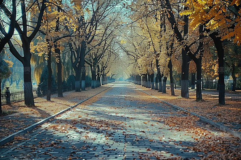林荫小路徒步旅行摄影图