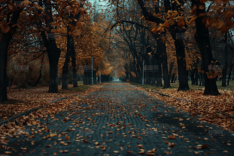 林荫小路户外自然摄影图