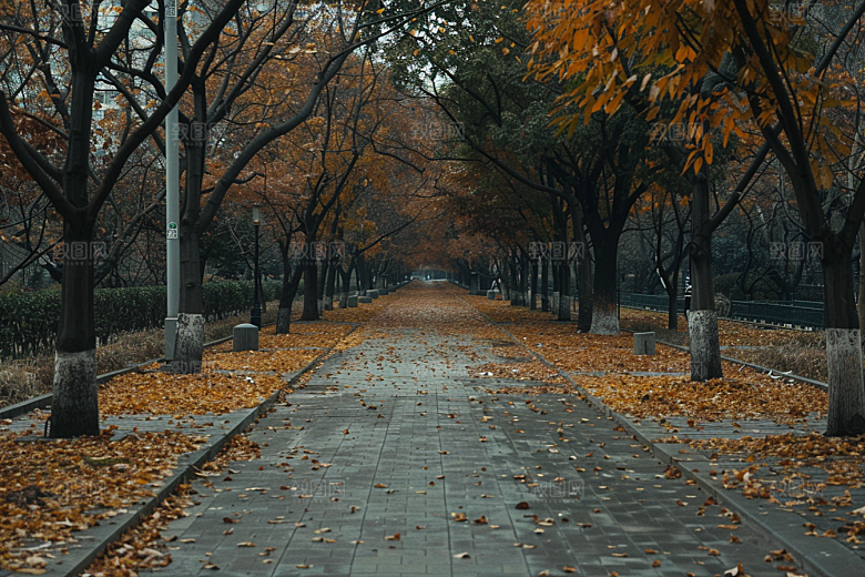 林荫小路旅游高清摄影图