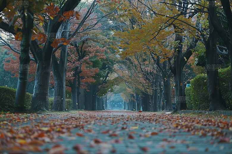林荫小路高清户外摄影图