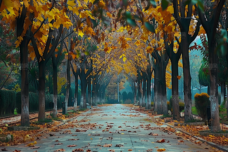 林荫小路自然环境优美摄影图