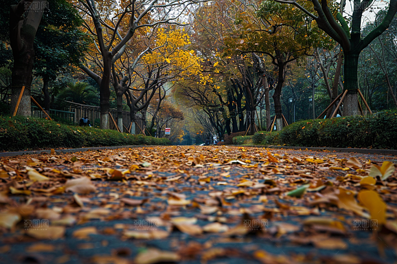林荫小路树林绿色摄影图