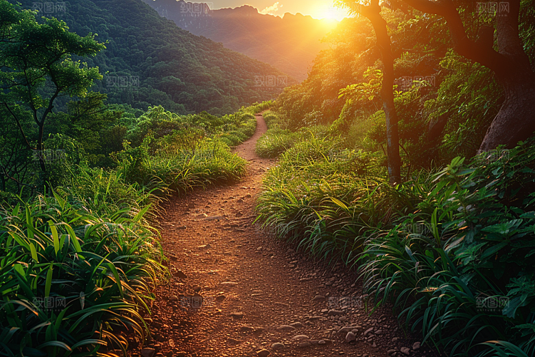 林荫小路山林自然摄影图