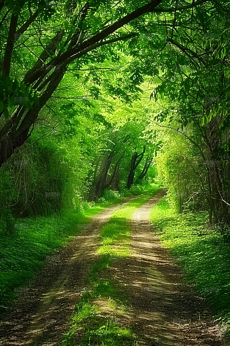 林荫小路高清旅游摄影图