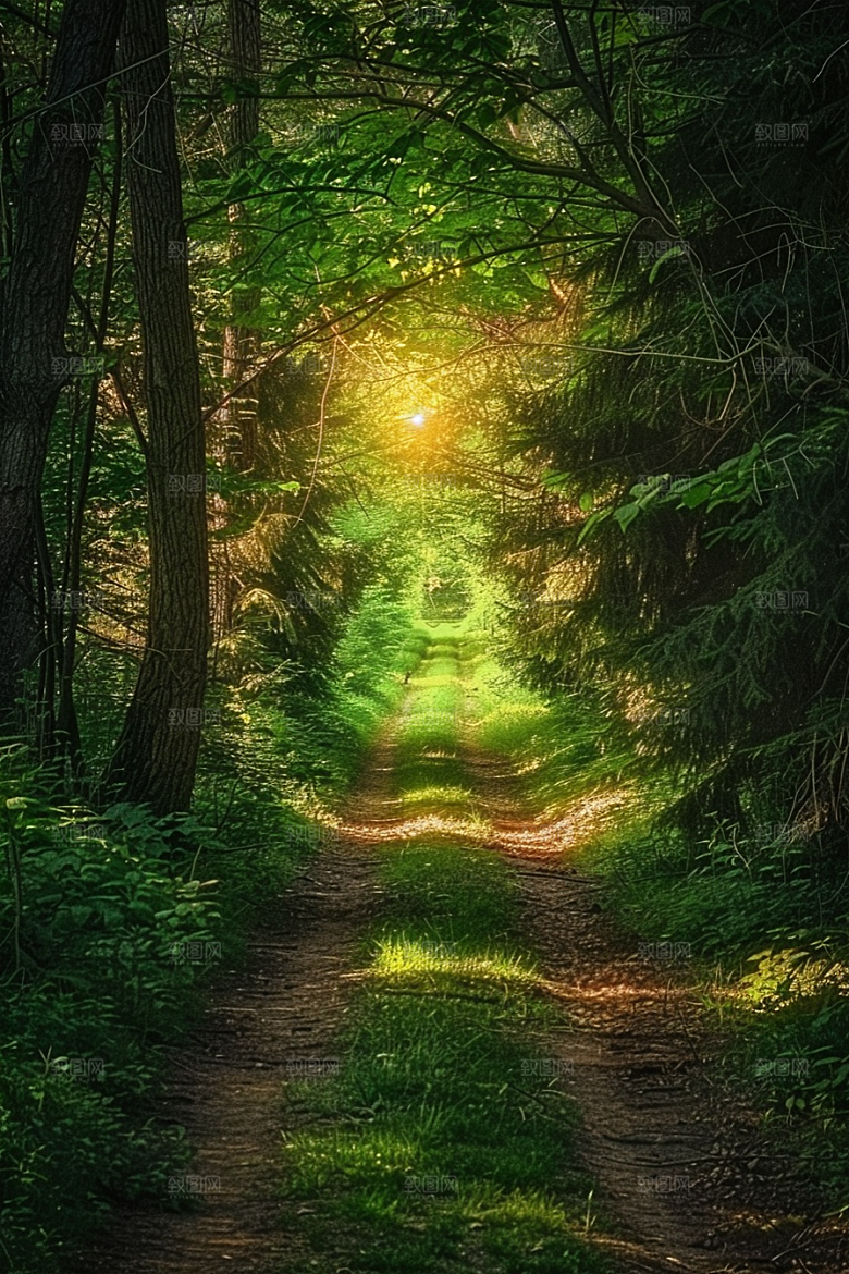 林荫小路户外植物摄影图