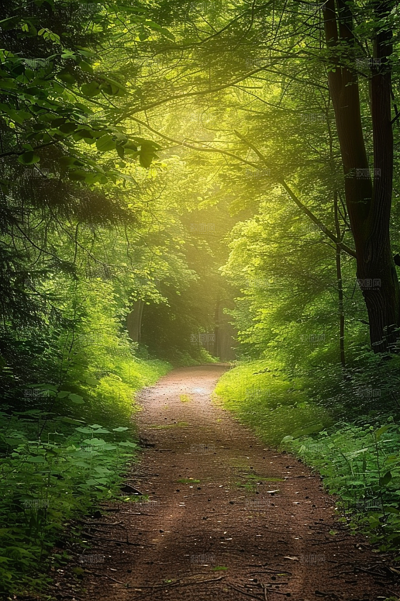 林荫小路绿色旅游摄影图