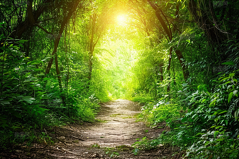 林荫小路环境优美徒步摄影图