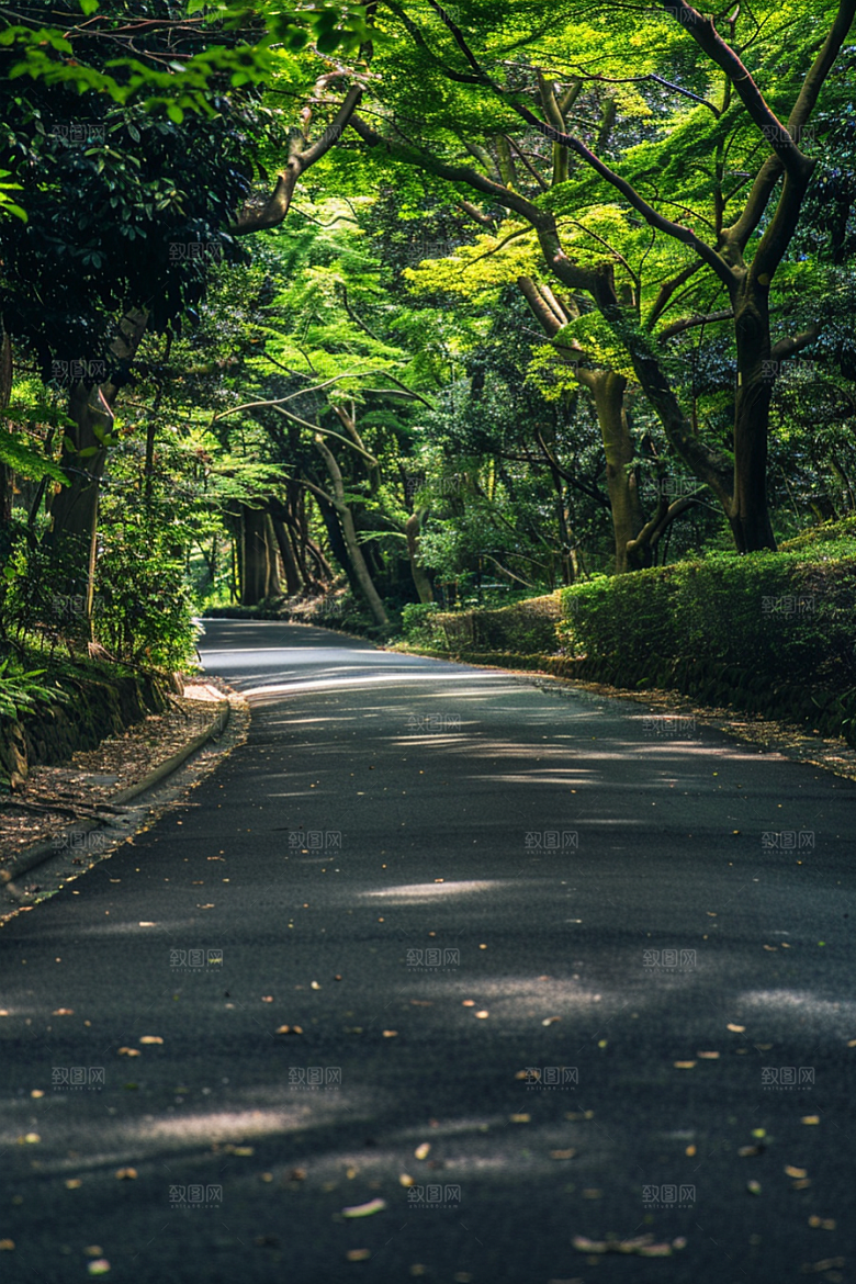 柏油马路延伸材质素材