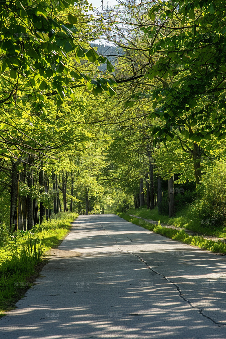 柏油马路场景沥青马路素材