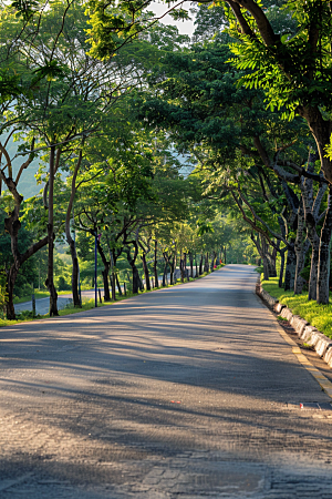 柏油马路材质路面素材