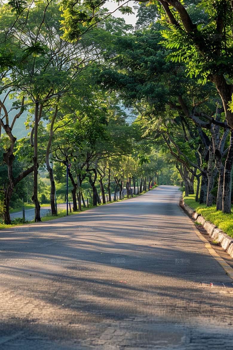 柏油马路材质路面素材
