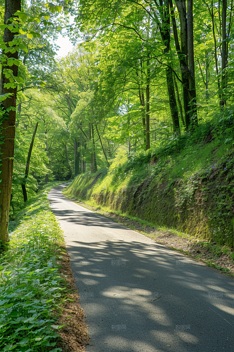 柏油马路场景自驾素材