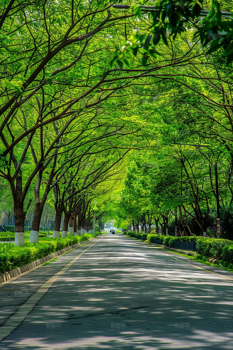 柏油马路延伸高清素材