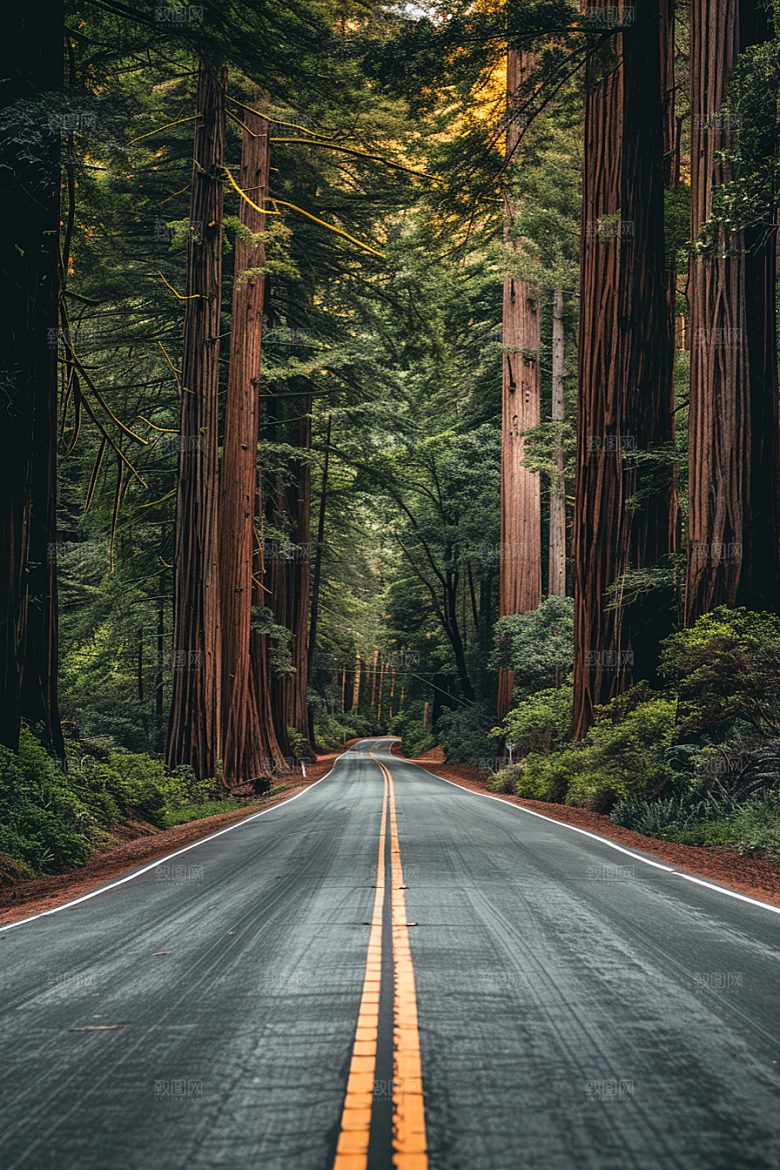 柏油马路路面自驾素材