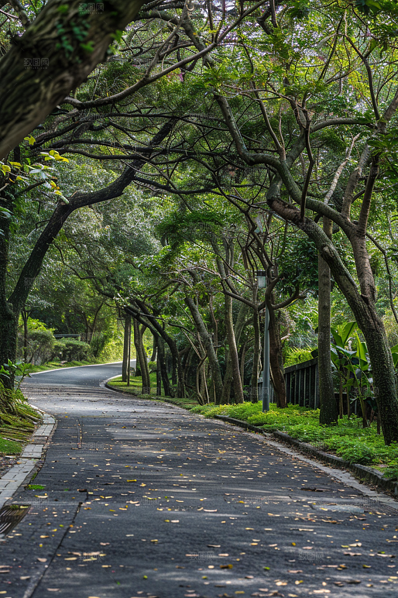 柏油马路高清路面素材