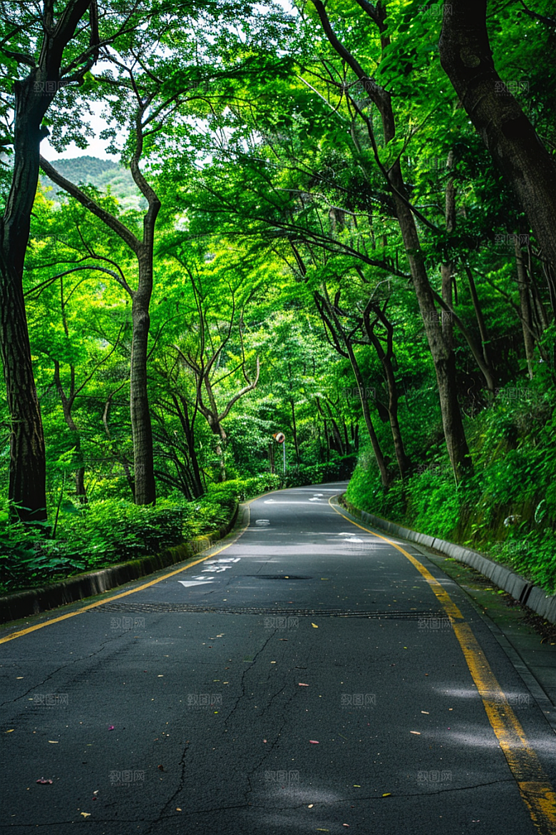 柏油马路路面户外素材