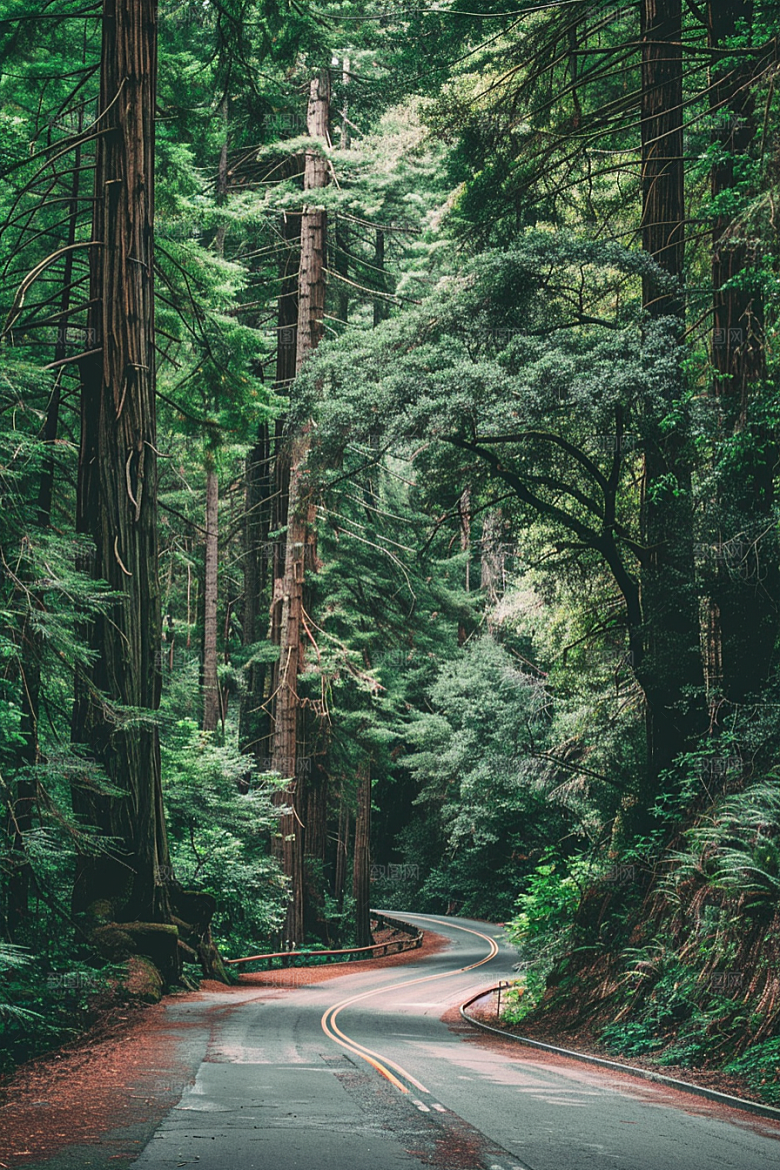 柏油马路场景地平线素材