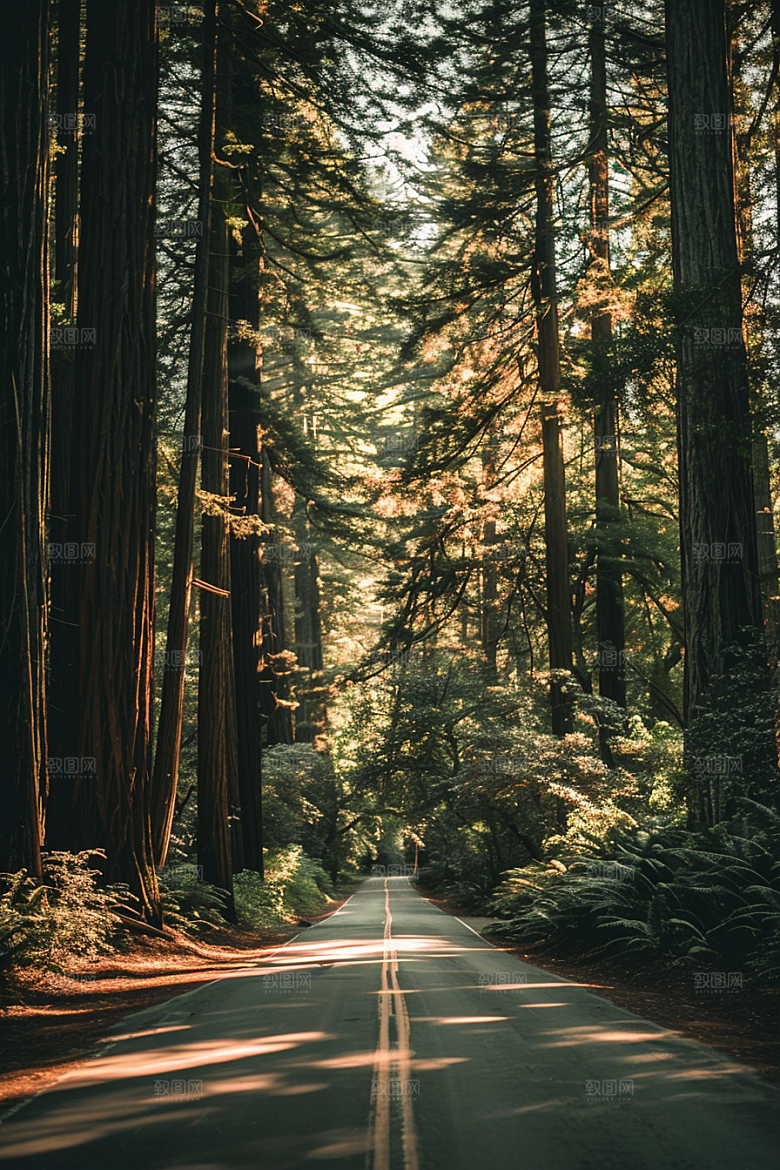 柏油马路肌理场景素材