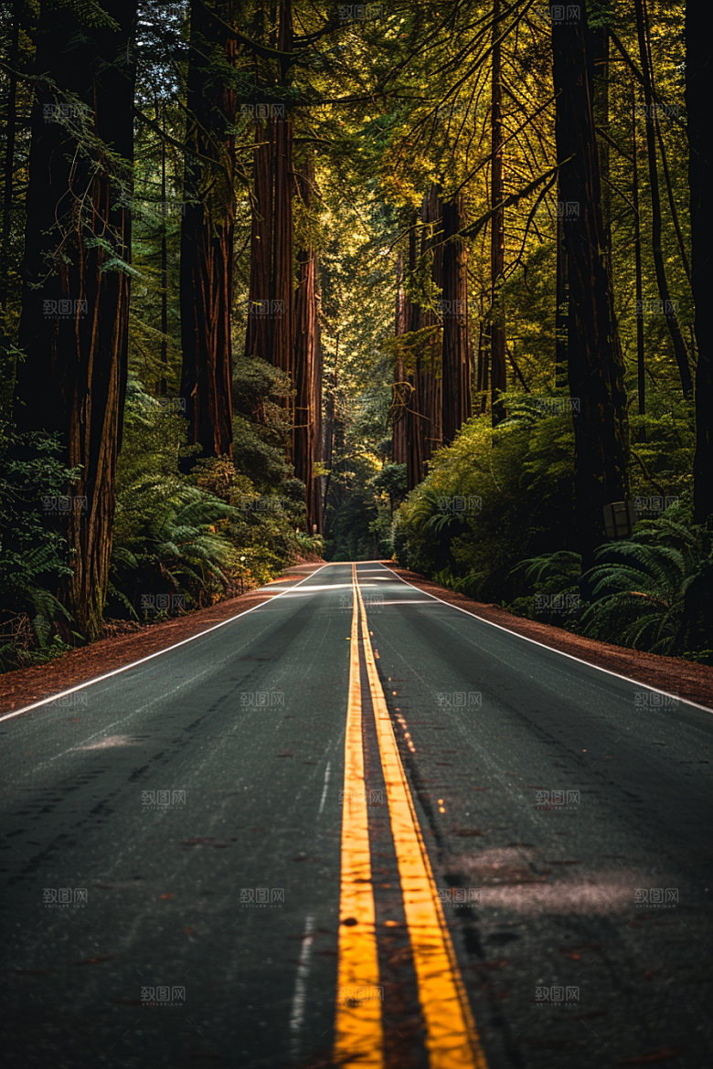 柏油马路场景肌理素材