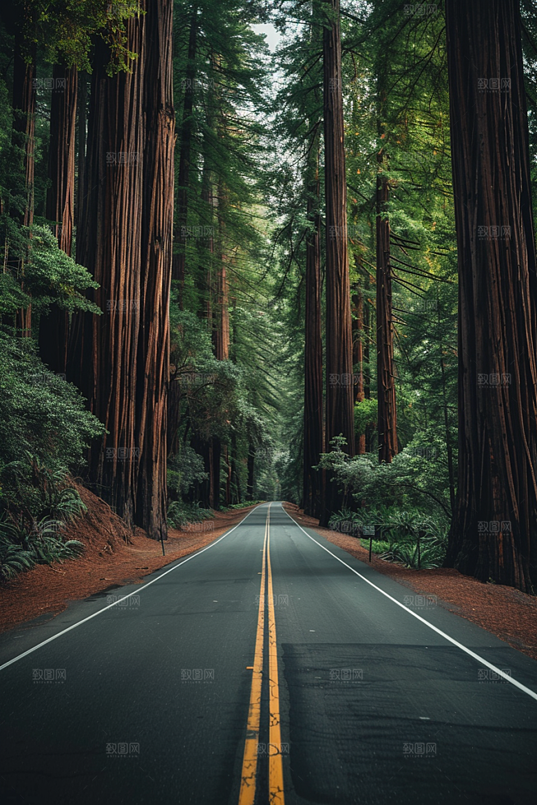 柏油马路户外材质素材