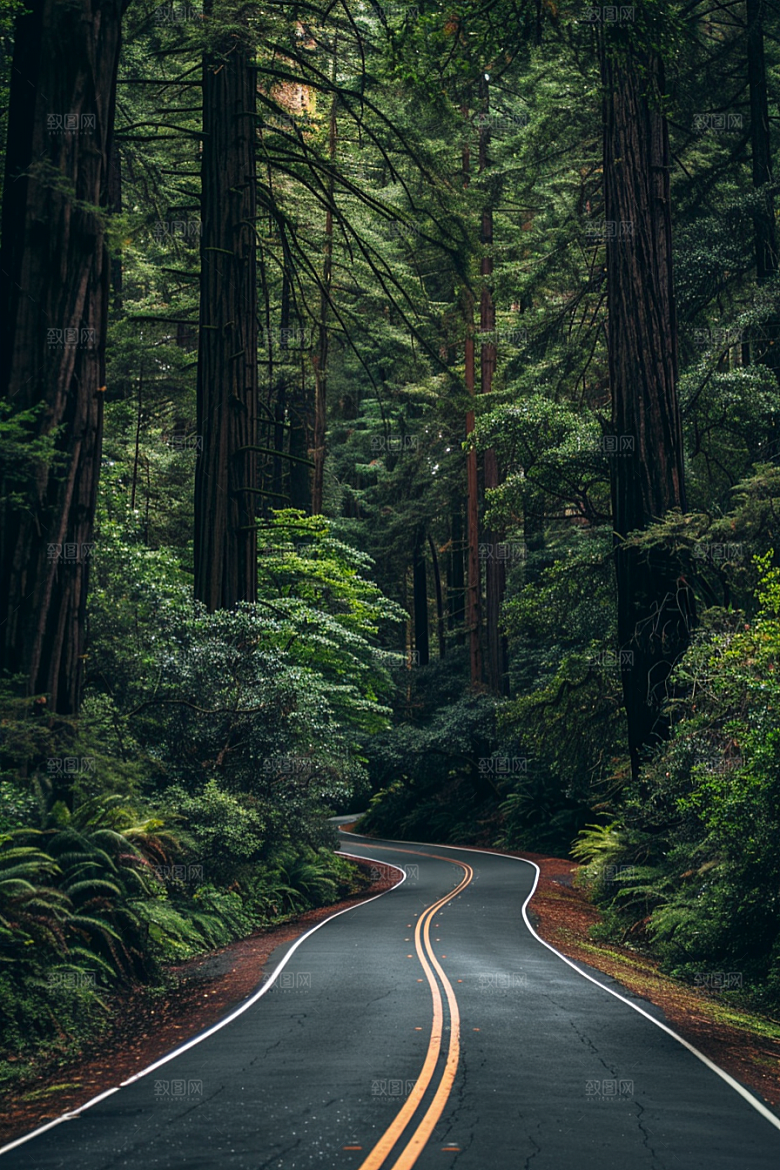柏油马路材质高清素材