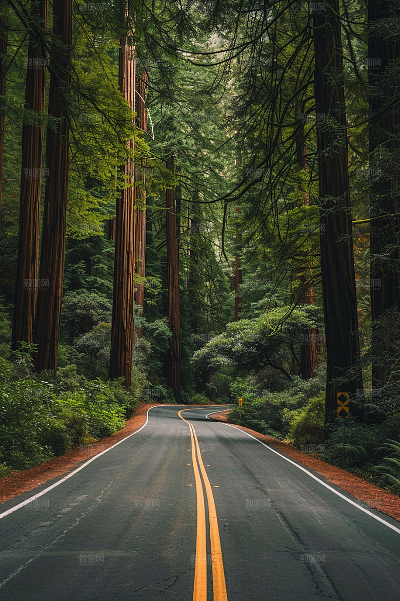 柏油马路自驾沥青马路素材
