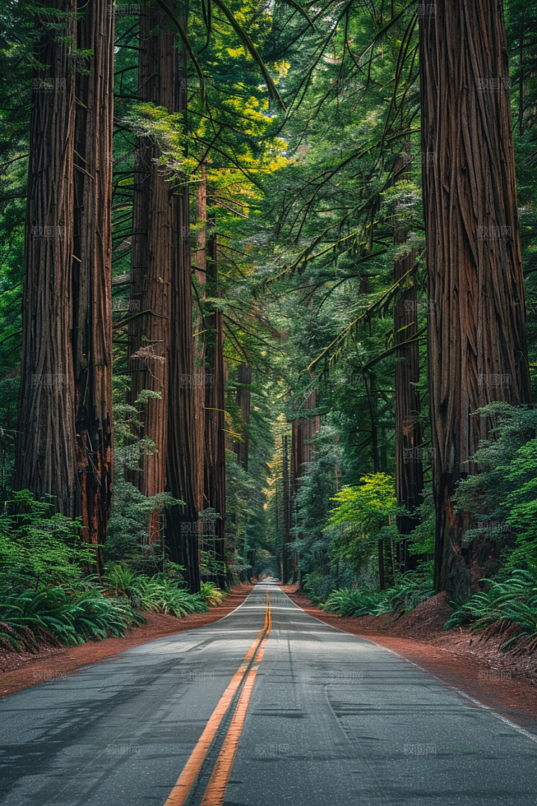 柏油马路场景自驾素材