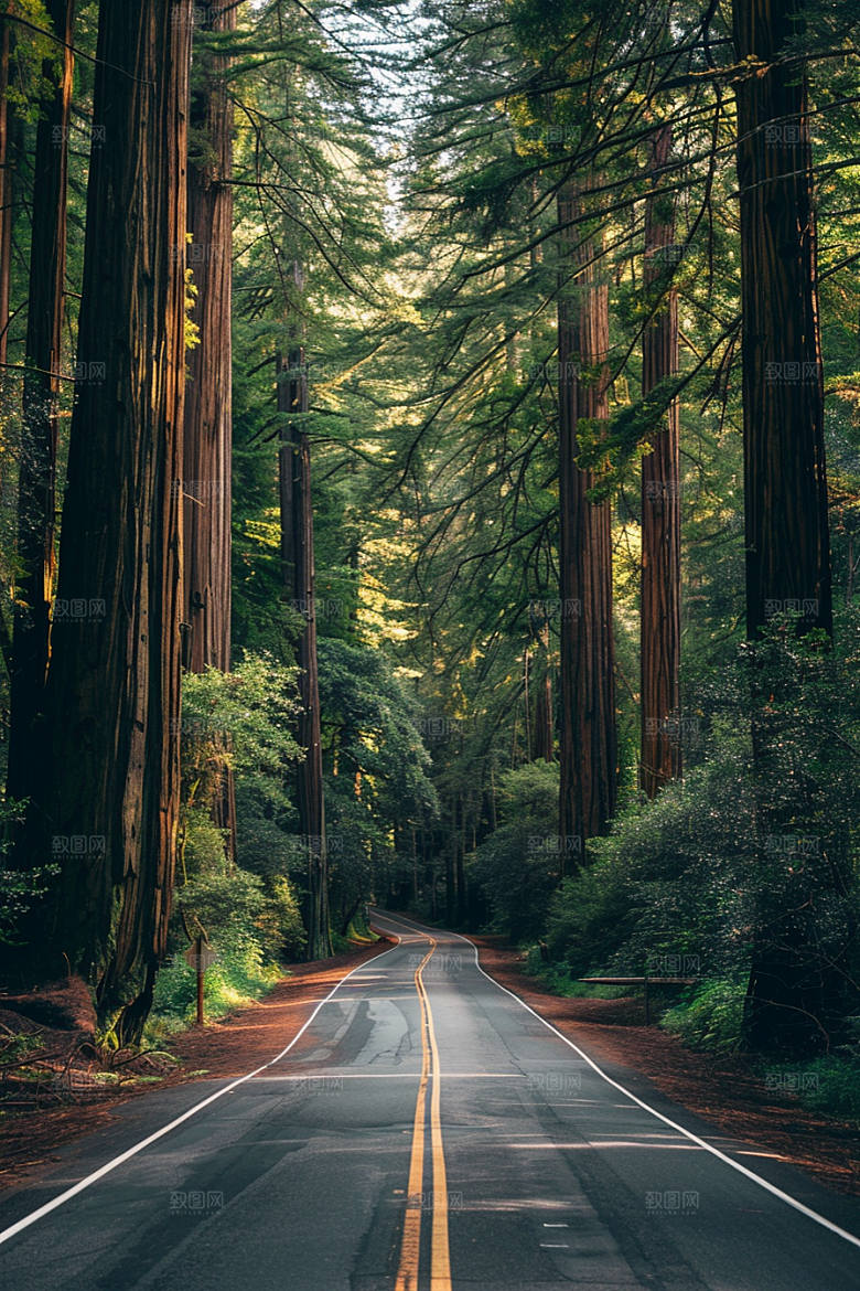 柏油马路道路自驾素材