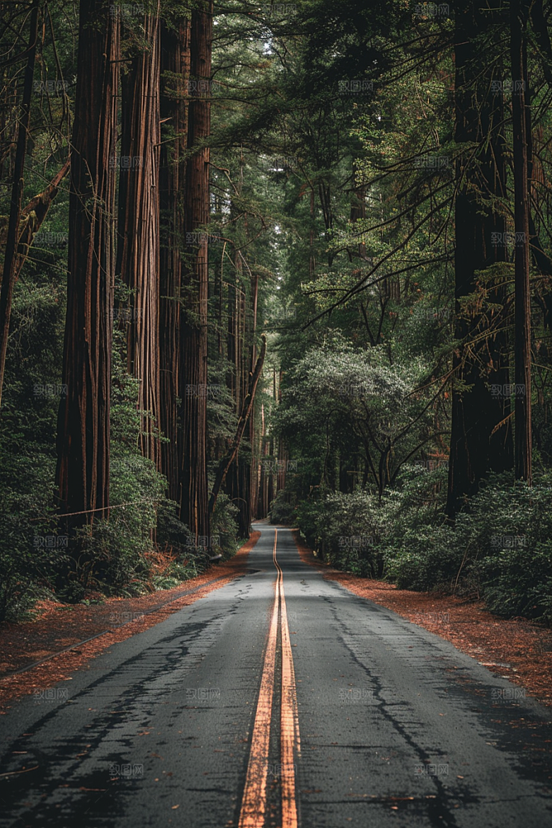 柏油马路肌理场景素材
