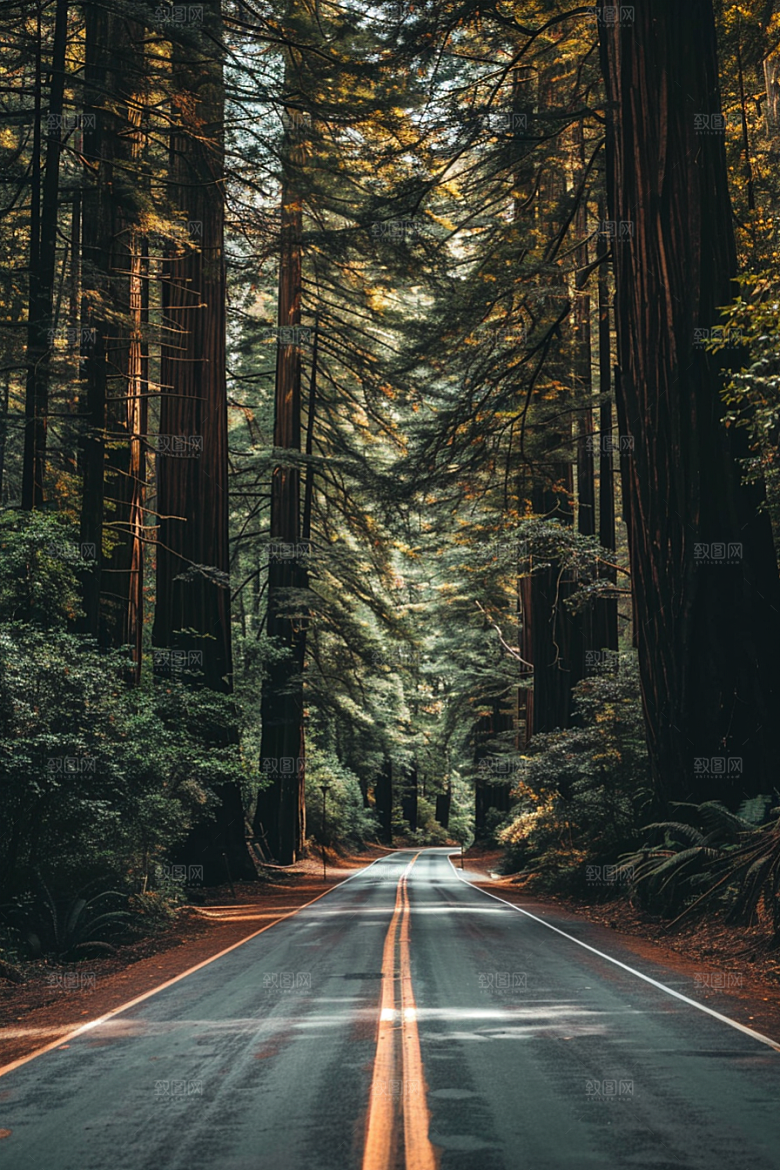 柏油马路肌理场景素材